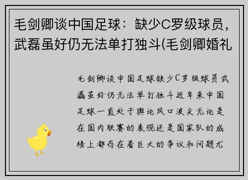 毛剑卿谈中国足球：缺少C罗级球员，武磊虽好仍无法单打独斗(毛剑卿婚礼)