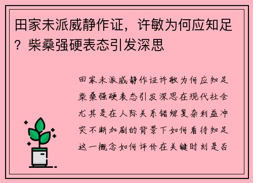 田家未派威静作证，许敏为何应知足？柴桑强硬表态引发深思